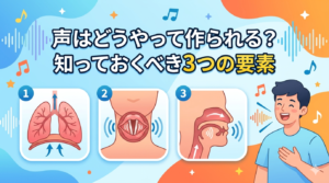 【ボイトレ基礎】声はどうやって作られる？知っておくべき｢３つの要素」